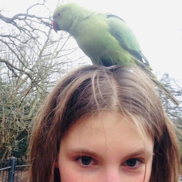 Photo of Ruby Hamill